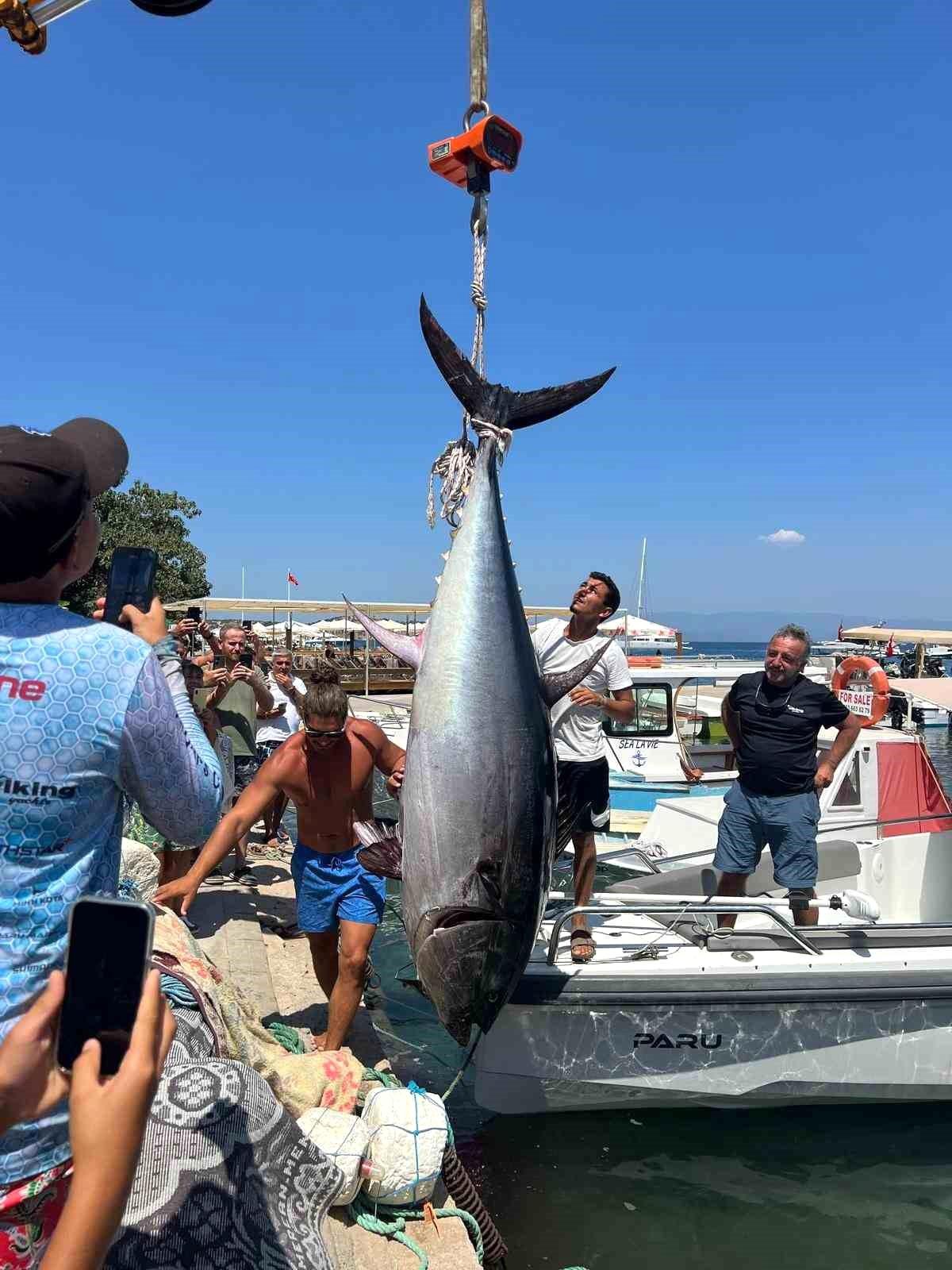 Muğla\'da 370 Kilo Orkinos Yakalandı