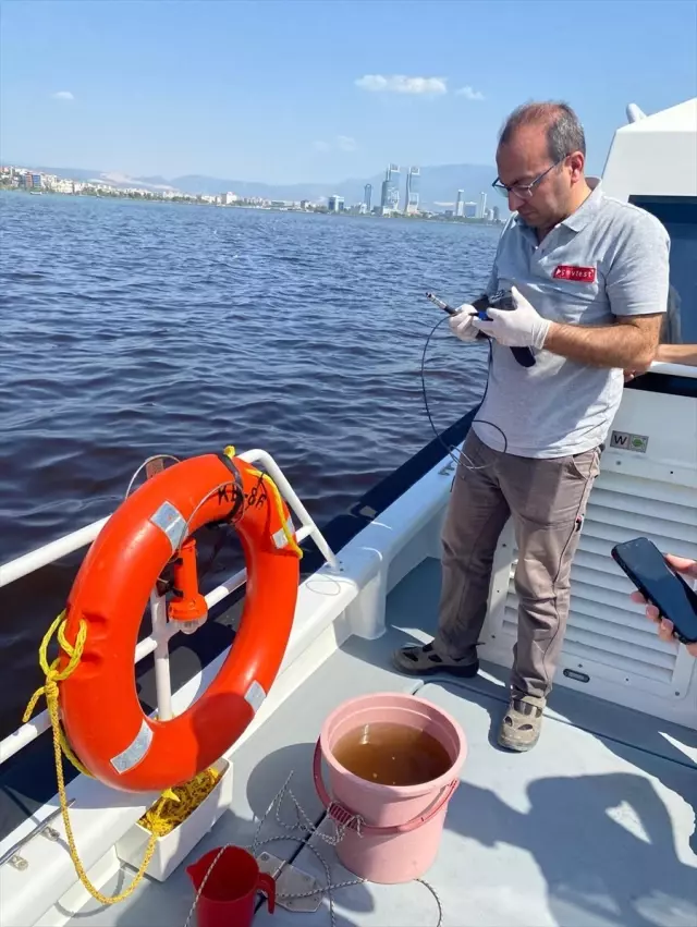 Kötü kokudan pencere açılmıyor! Binlerce ölü balığın karaya vurduğu körfezle ilgili harekete geçildi