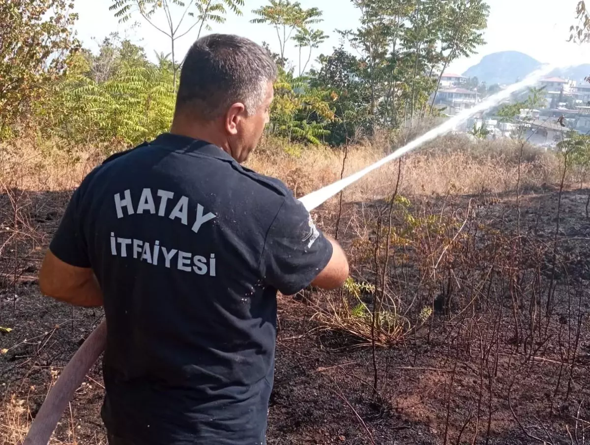 Hatay\'ın Defne ilçesinde çıkan bahçe yangını söndürüldü