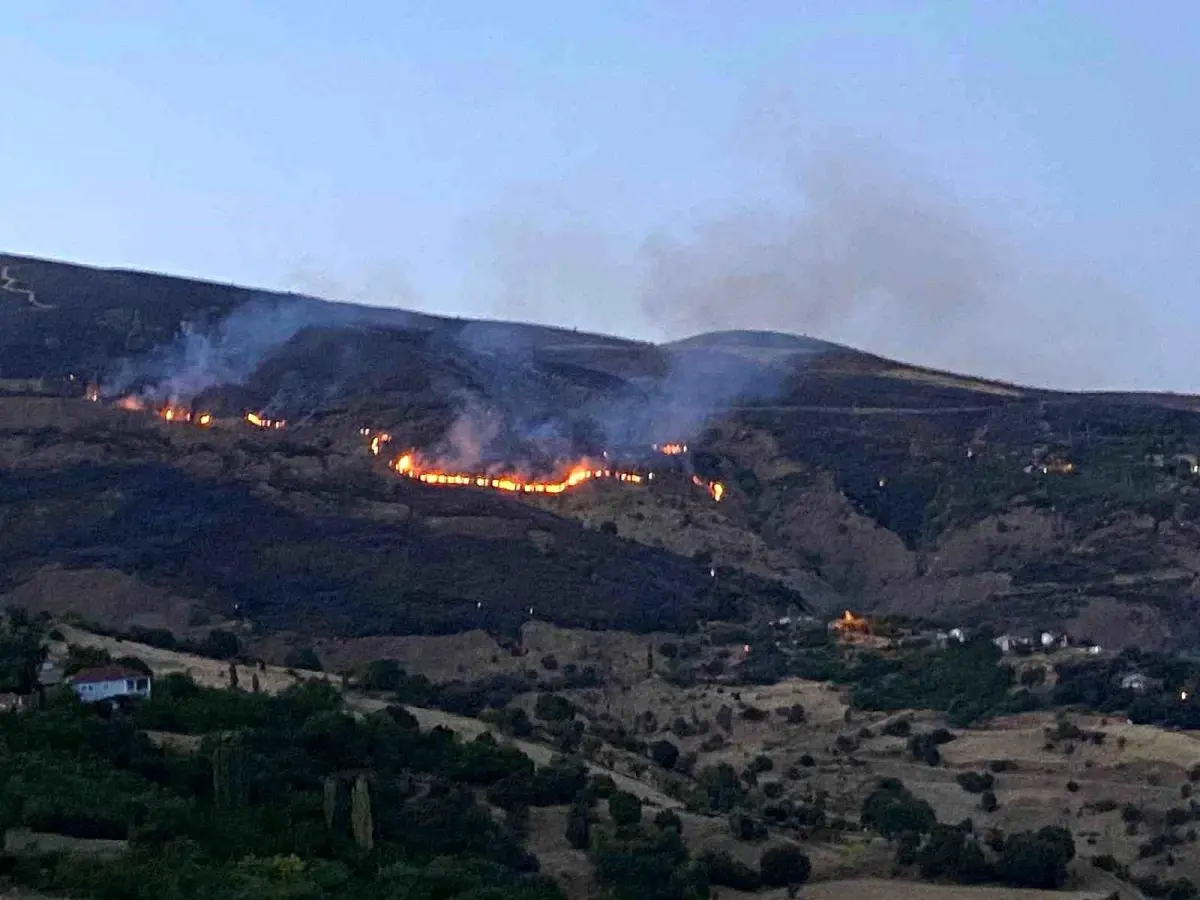 Malatya\'da çıkan orman yangını kontrol altına alındı, kaplumbağa kurtarıldı