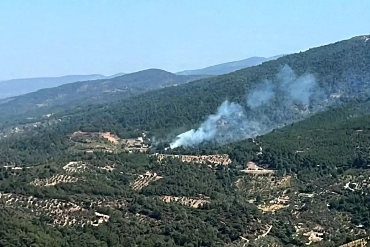 İzmir Kemalpaşa\'da çıkan orman yangını kontrol altına alındı