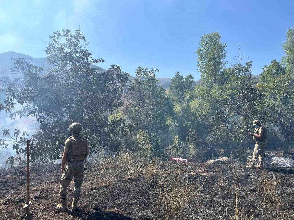 Tunceli\'de çıkan örtü yangını söndürüldü