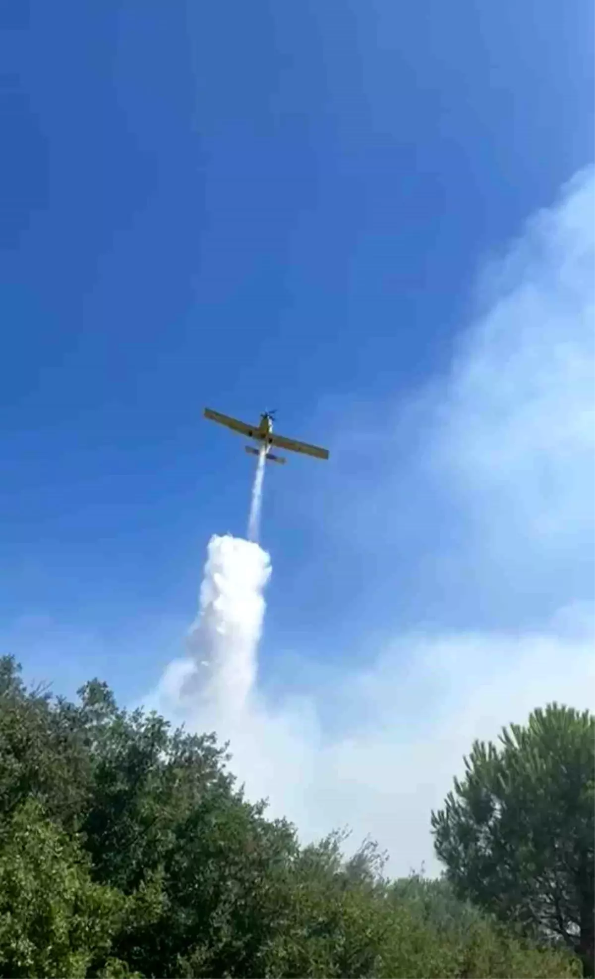 İzmir\'in Bergama ilçesinde çıkan orman yangını kontrol altına alındı