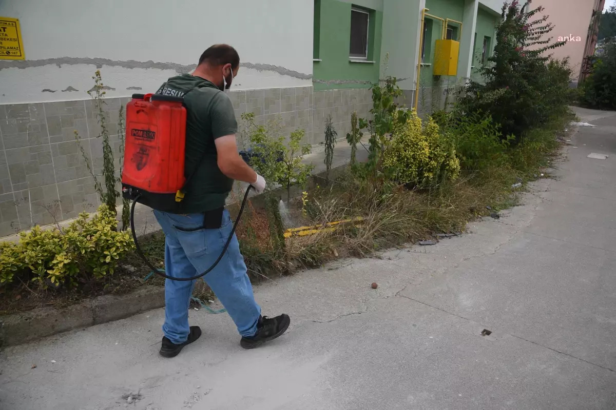 Giresun Belediyesi Şehir Genelinde İlaçlama Çalışmalarını Artırdı