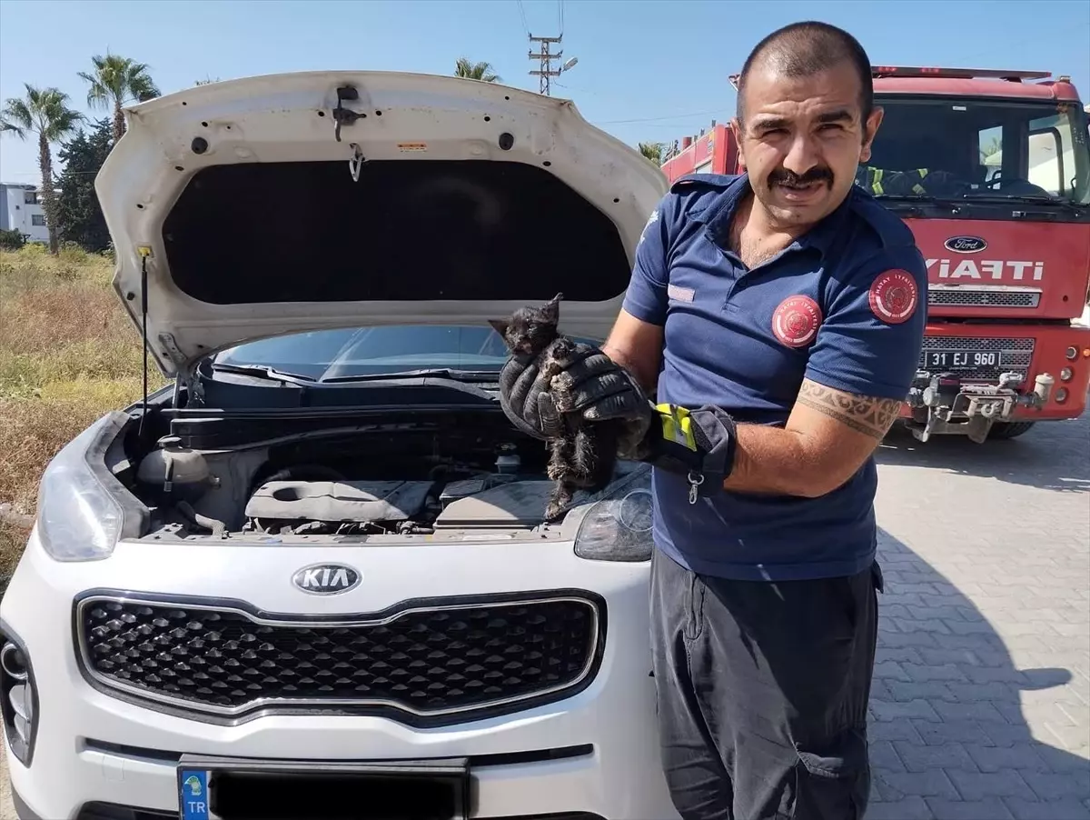 Park halindeki cipin motor kısmına sıkışan kedi yavrusu kurtarıldı