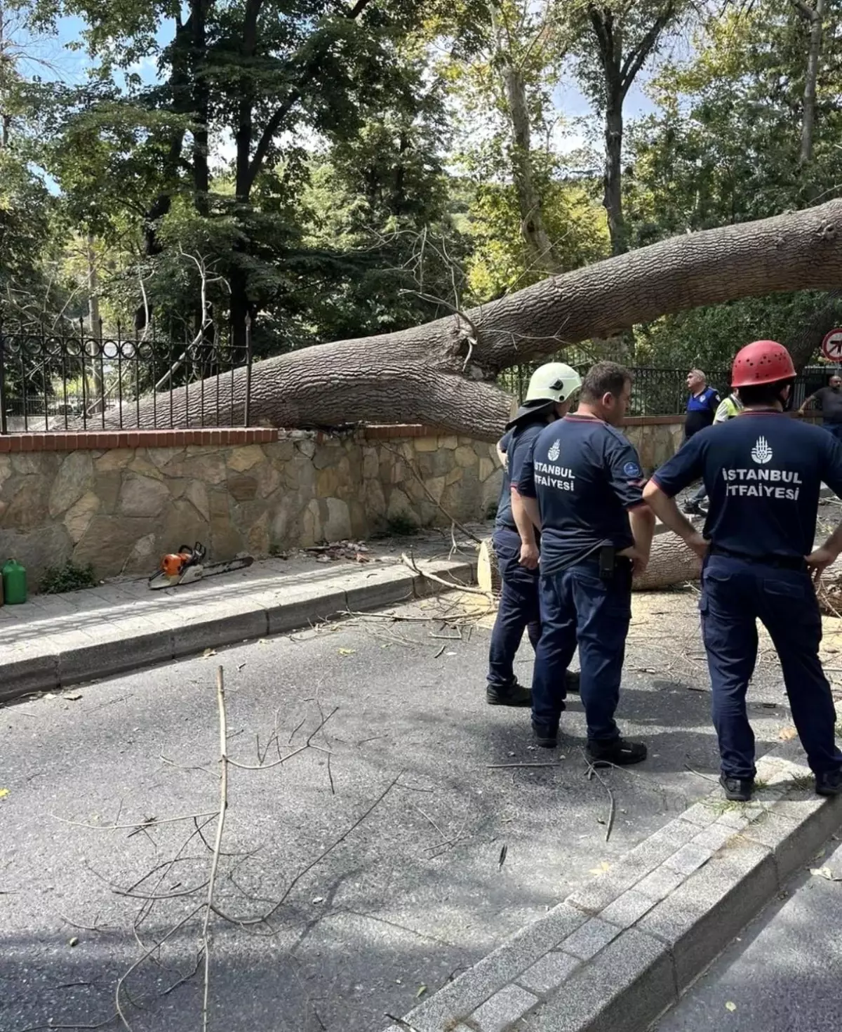 Sarıyer\'de Çürük Ağaç Yolu Kapatmadan Devrildi