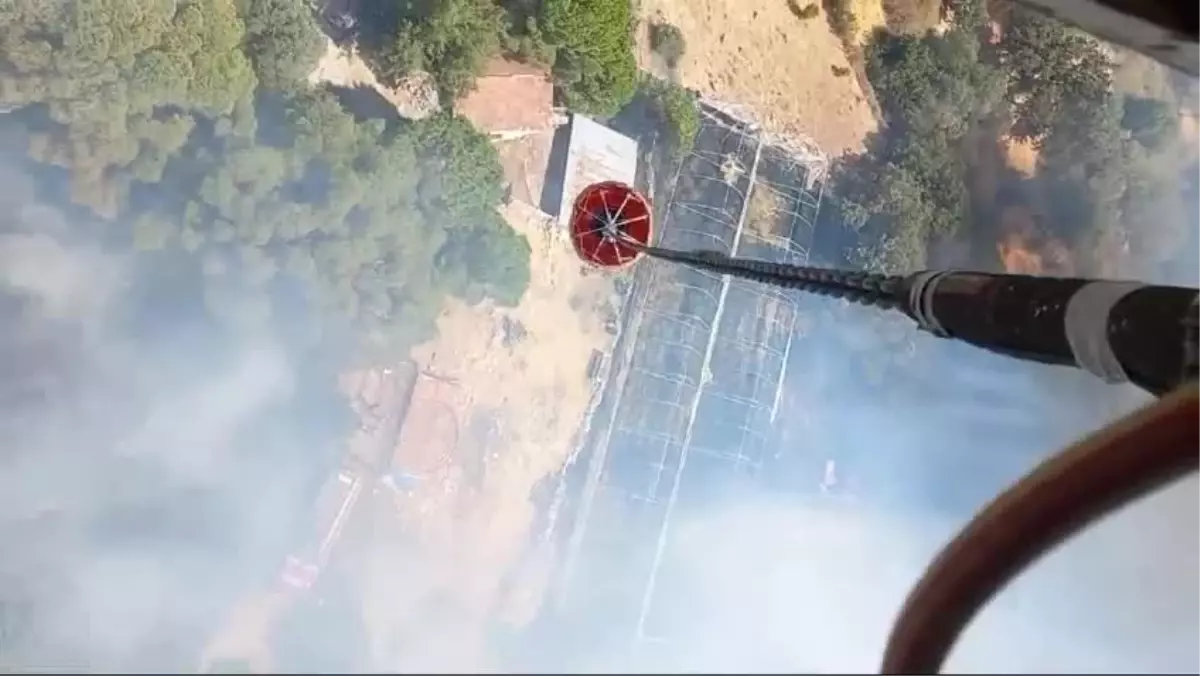 İzmir\'in Bergama ilçesinde fıstık çamlıklarında yangın çıktı