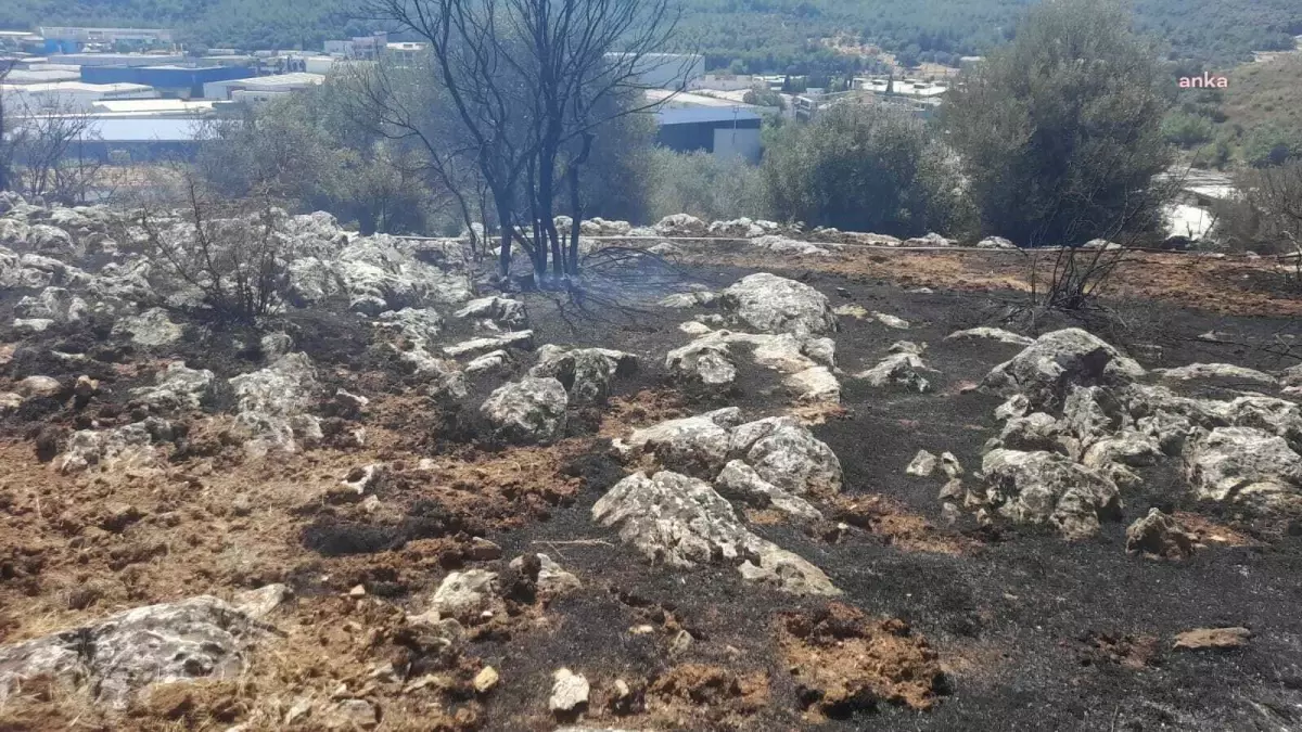 Kemalpaşa\'da çıkan yangın kontrol altına alındı