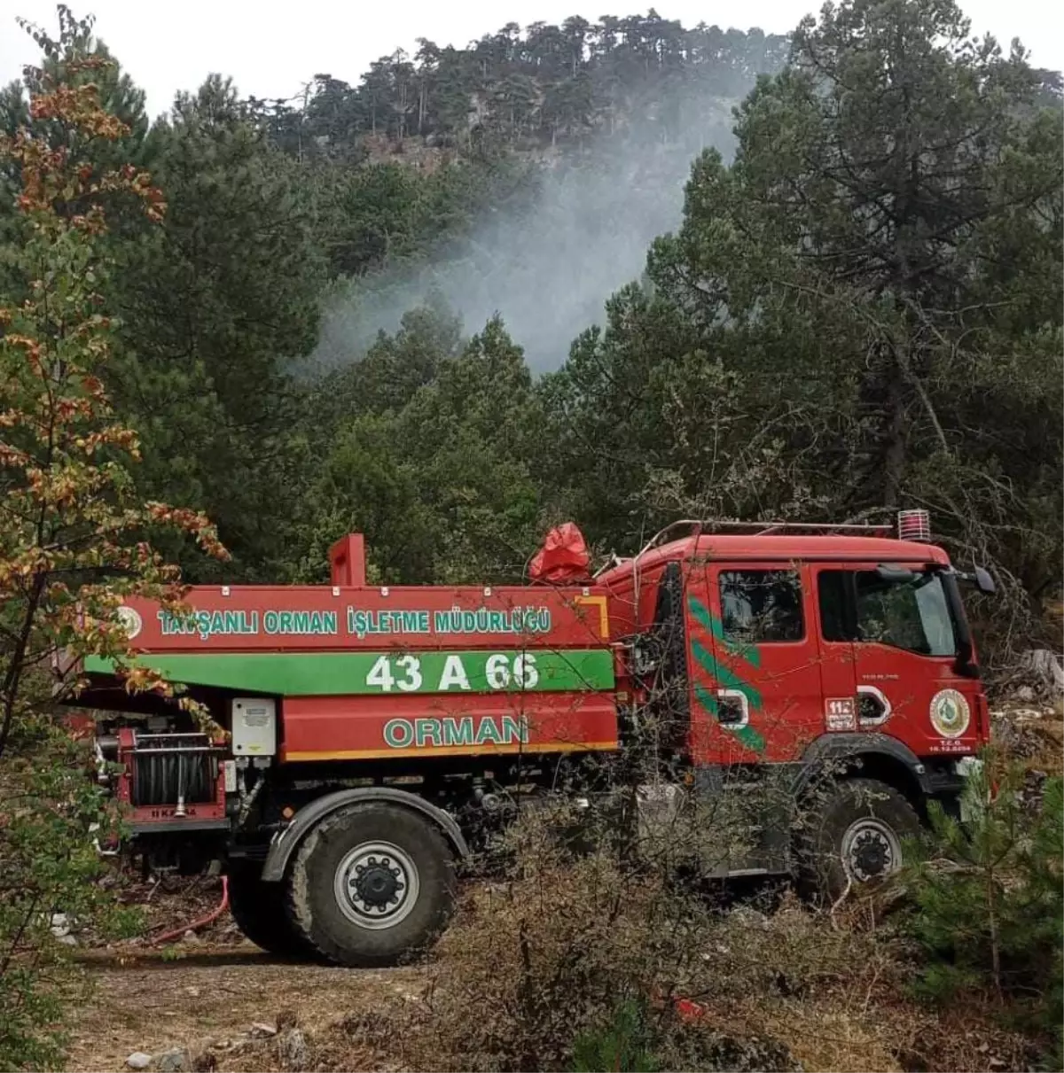 Kütahya\'da Ormanlık Alanda Yıldırım Düşmesi Sonucu Yangın Söndürüldü