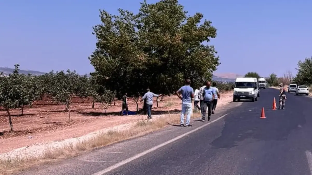 Şanlıurfa\'da genç öğretmenin cesedi fıstık bahçesinde bulundu