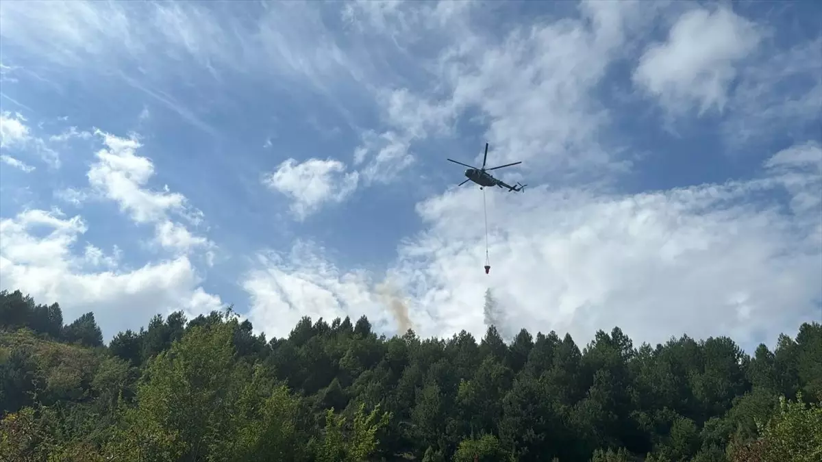 Zonguldak\'ta orman yangını kontrol altına alındı