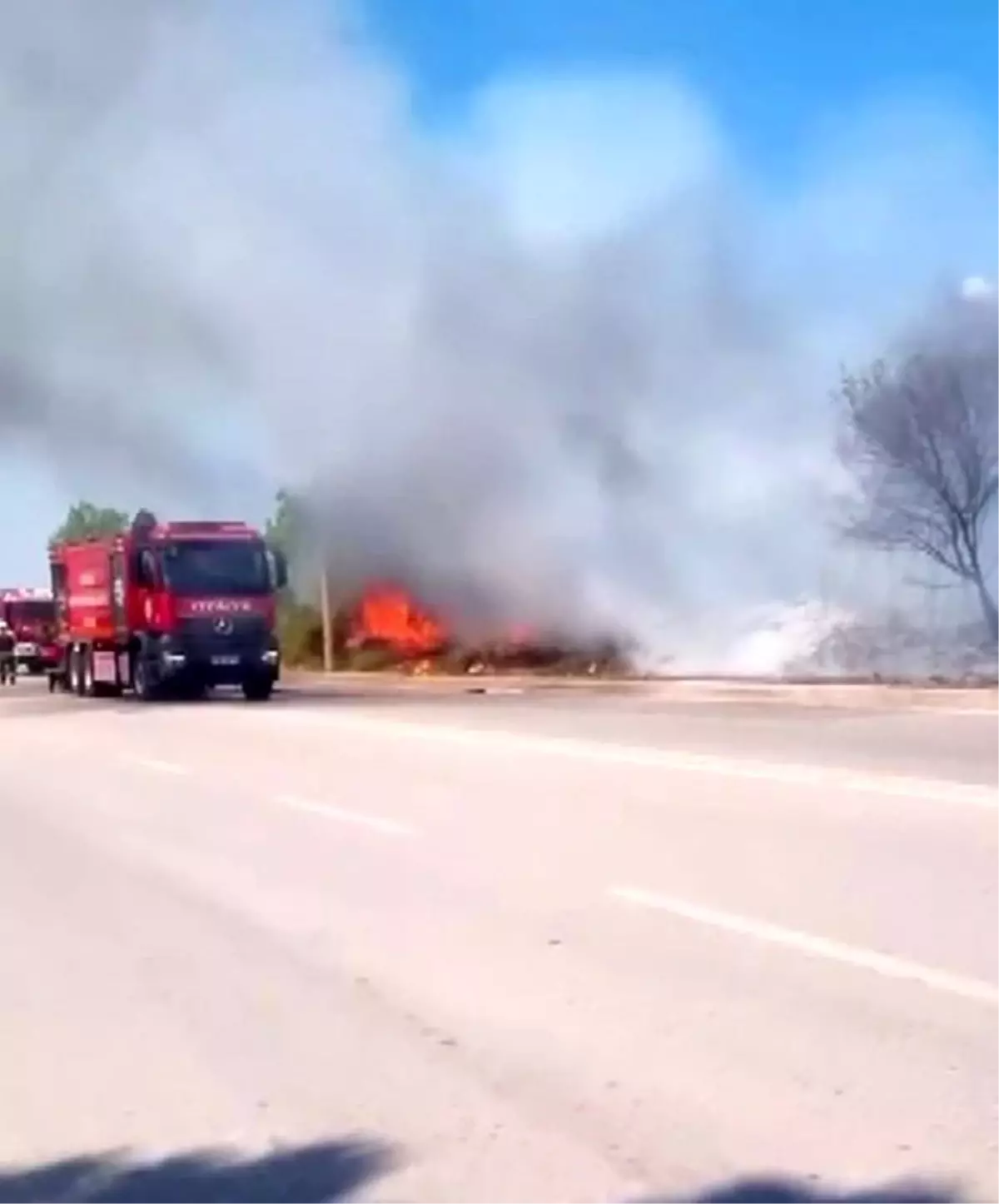 Kartepe\'de yol kenarında çıkan yangın itfaiye ekipleri tarafından söndürüldü