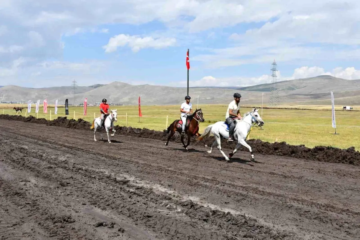 Ardahan\'da Geleneksel Rahvan Atları Yarışları\'nda Final Heyecanı