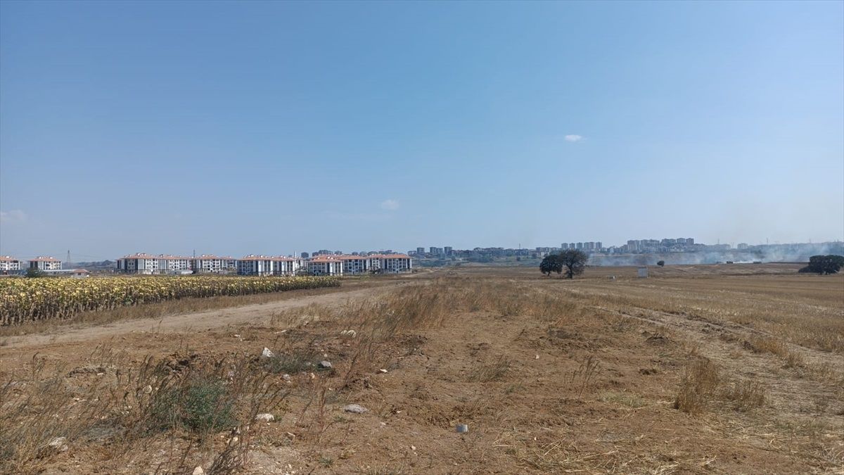 Çorlu\'da otluk alanda çıkan yangın söndürüldü