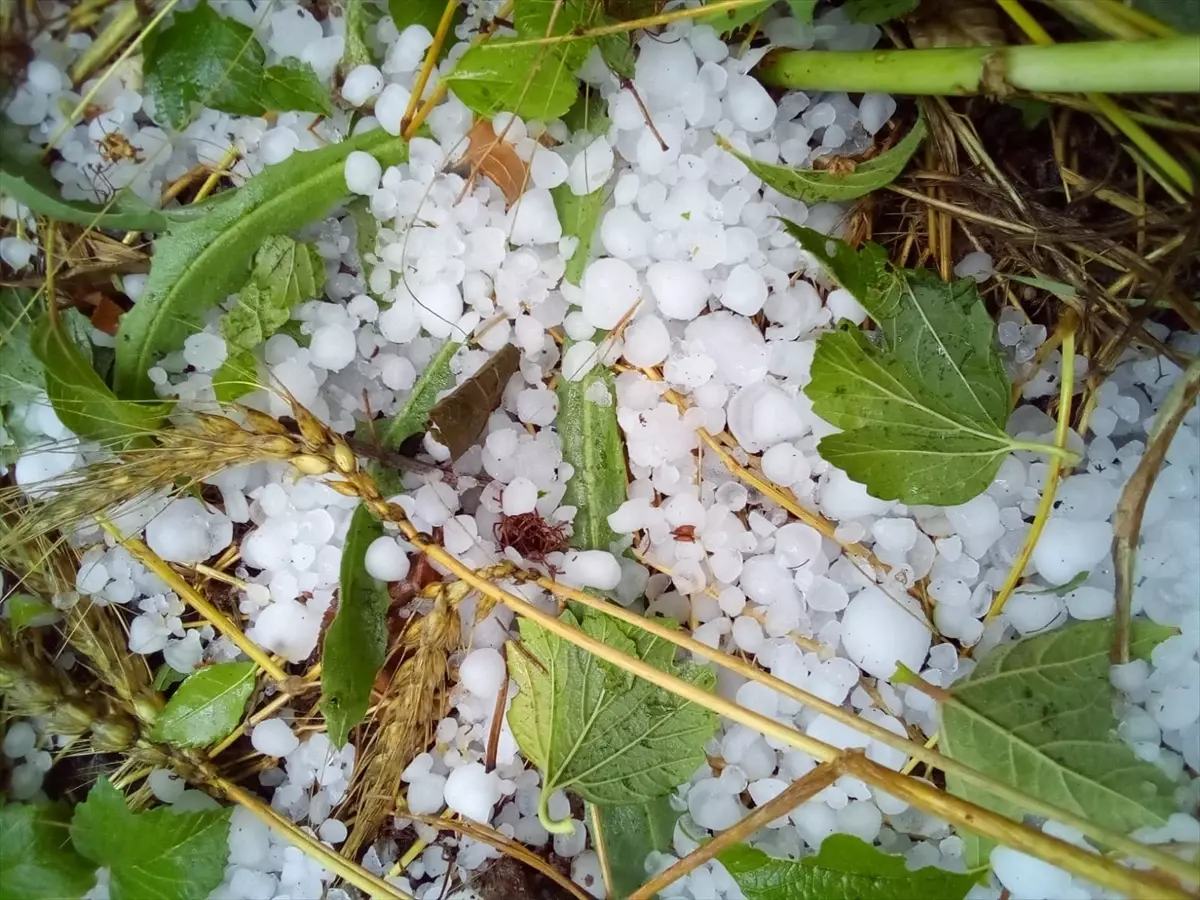 Denizli\'de Dolu Yağışı Tarım Alanlarını Zarara Uğrattı