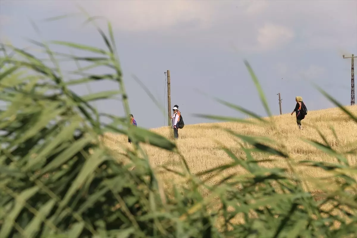 Diyarbakır\'da kaybolan 8 yaşındaki Narin Güran\'ı arama çalışmaları devam ediyor