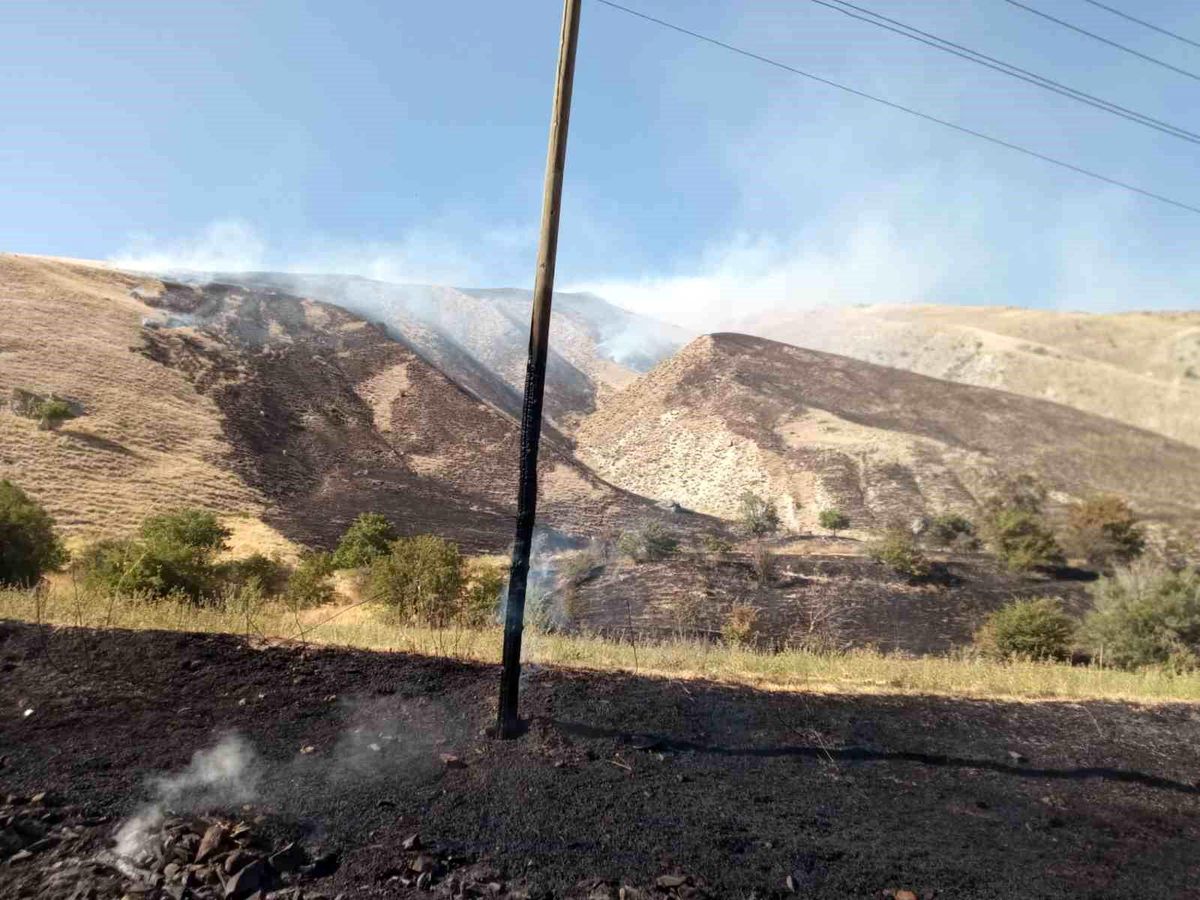 Hakkari\'de makilik alanda çıkan yangın kontrol altına alındı