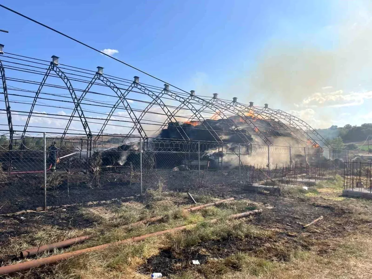 Tekirdağ\'da Koyun Ağılında Yangın Çıktı