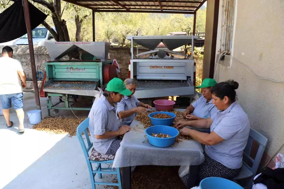 Muğla\'da Tarım Kooperatifleri İşbirliği İçin Bir Araya Geldi