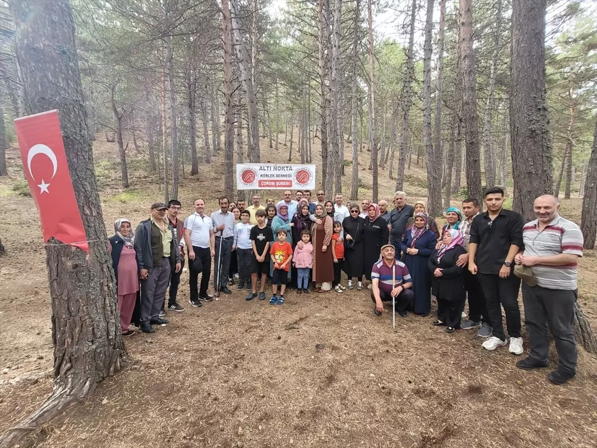 Altı Nokta Körler Derneği Çorum Şubesi Geleneksel Pikniği Yapıldı