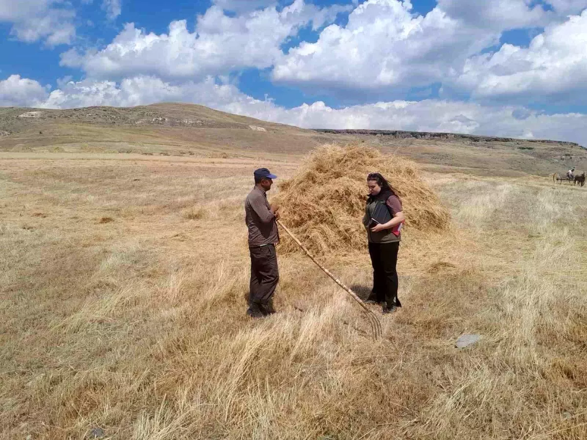 Sarıkamış\'ta Hasat Sezonu Başladı