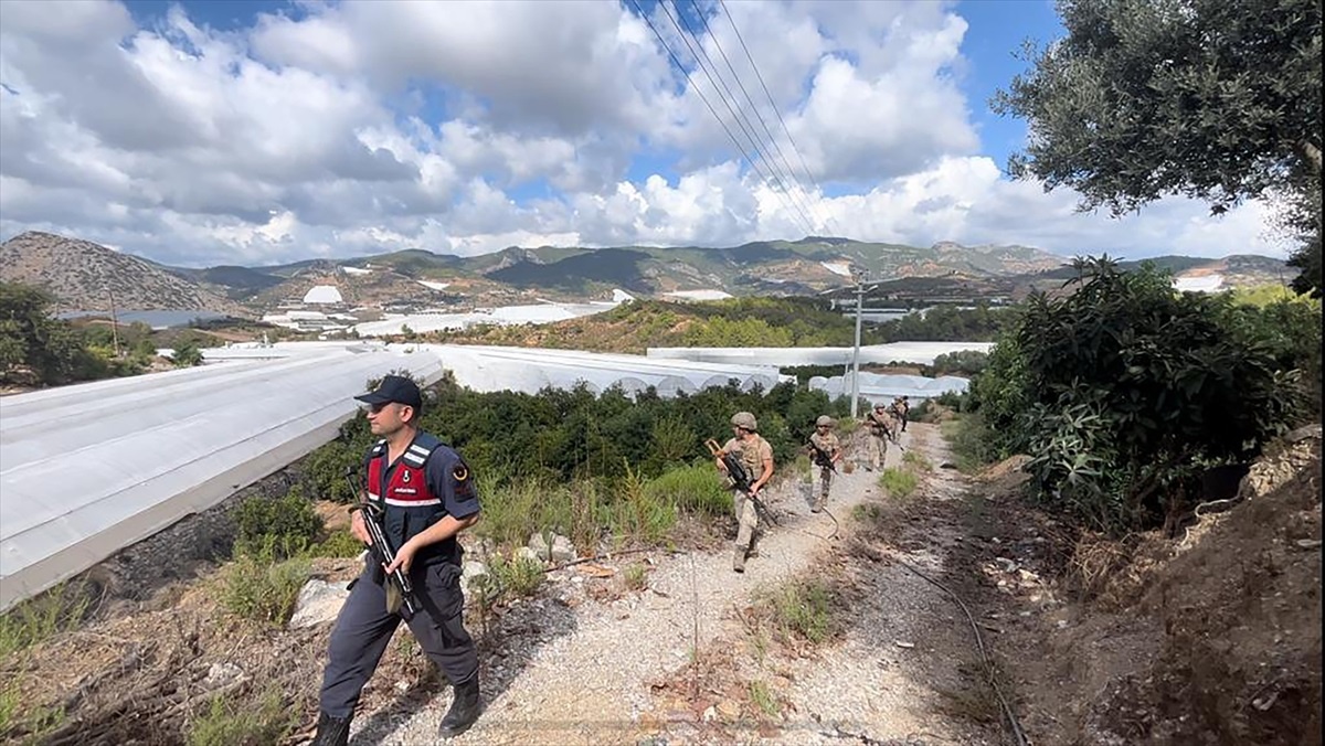 Alanya\'da tropikal meyve hırsızlığına karşı jandarma denetimde