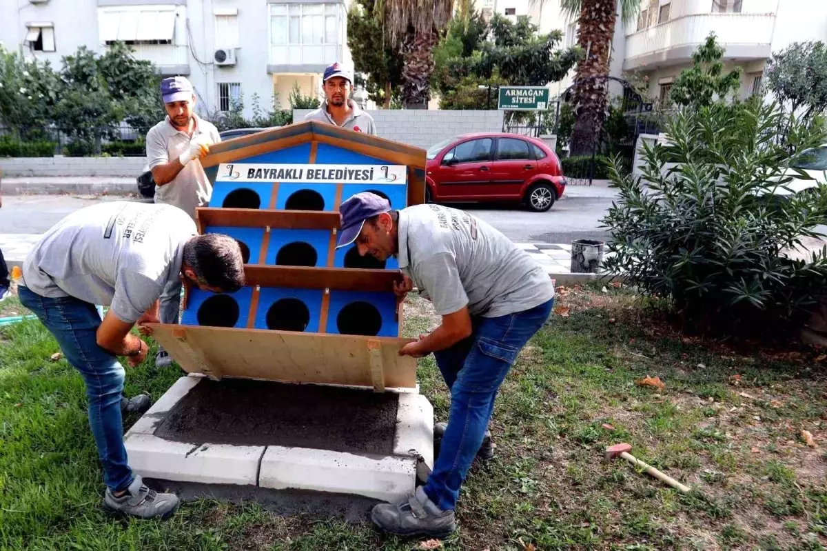 Bayraklı Belediyesi Sokak Hayvanlarına Destek Oluyor