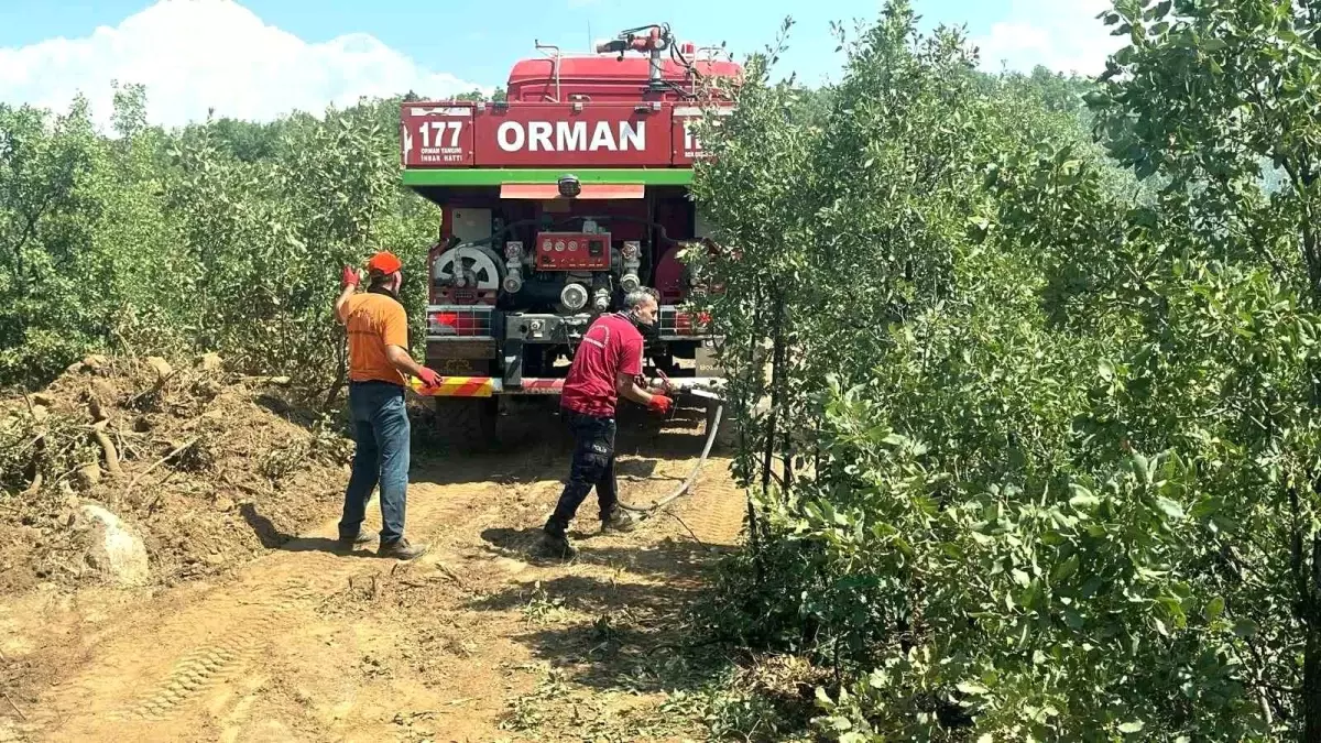 Bingöl\'deki Orman Yangını Kısa Sürede Söndürüldü