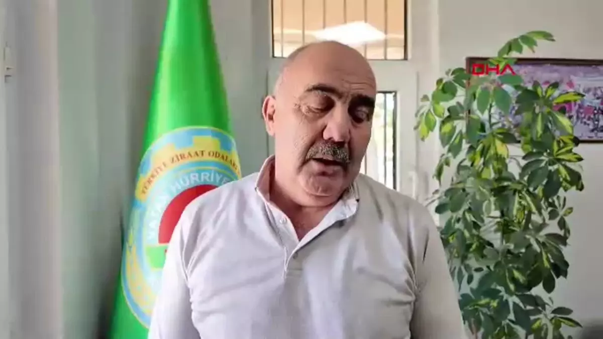 Bolu Gölköy Barajı\'nda Su Seviyesi Düştü, Tarım Arazilerine Su Verme İşlemi Durduruldu