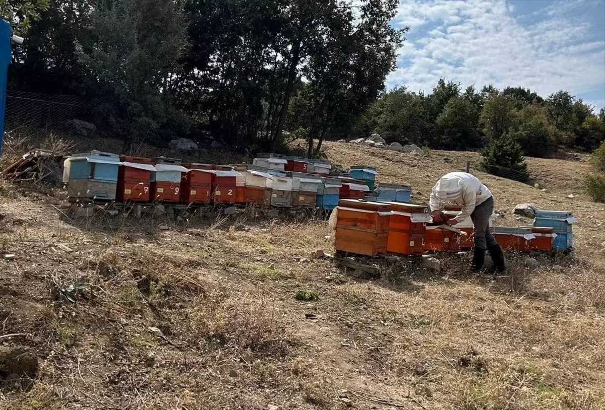 Yozgat\'ın Çekerek İlçe Tarım ve Orman Müdürü Arıcıları Ziyaret Etti