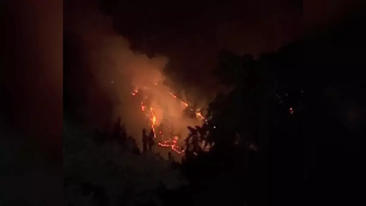 İznik\'te Orman Yangınına Karadan Müdahale Devam Ediyor