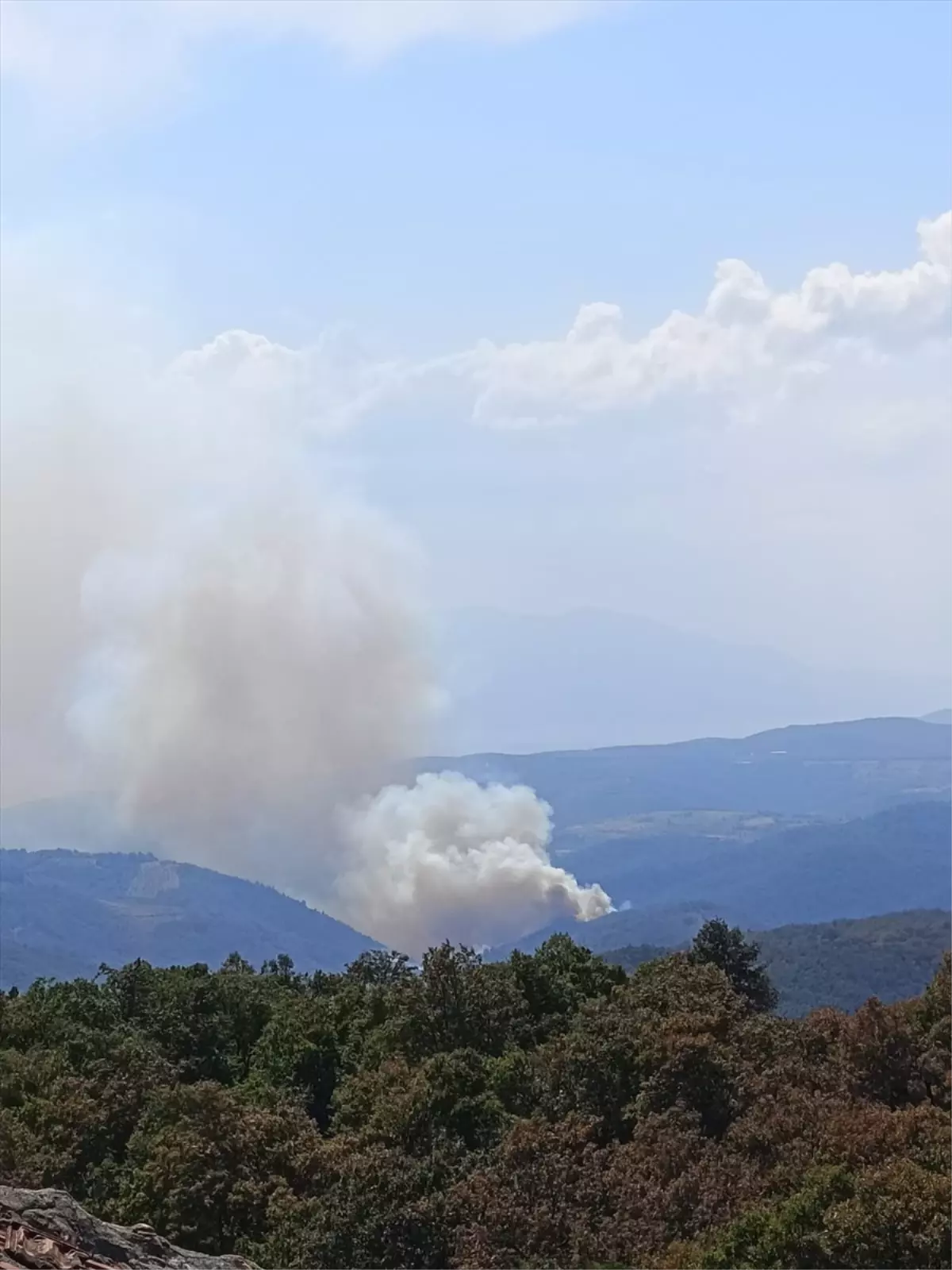 İznik\'te Orman Yangını Söndürme Çalışmaları Başlatıldı