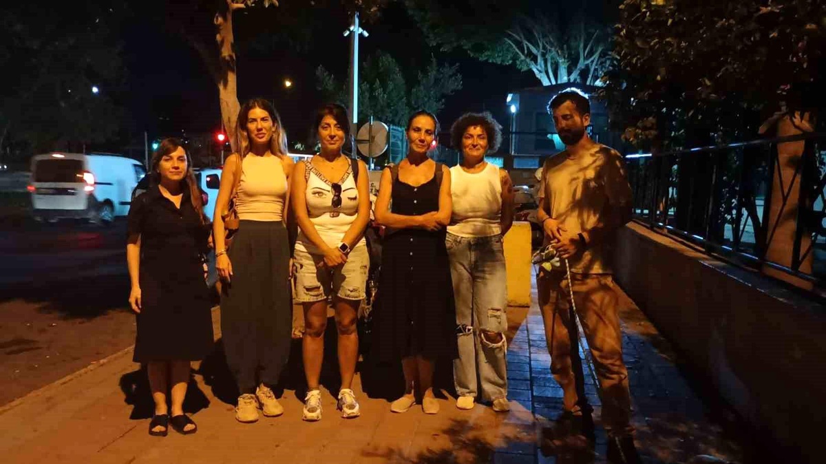 Antalya\'da Sokak Köpeklerinin Ölümüne İlişkin Dilekçe Verildi