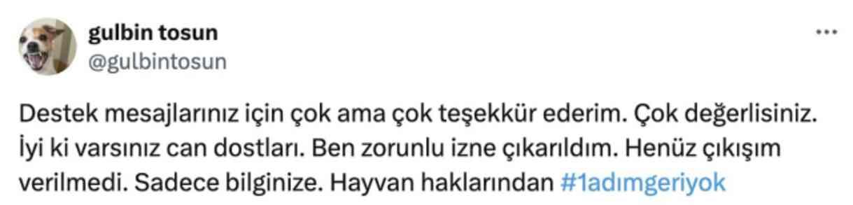 Mansur Yavaş'la ilgili paylaşımı nedeniyle Gülbin Tosun zorunlu izne çıkarıldı