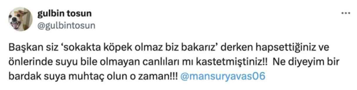 Mansur Yavaş'la ilgili paylaşımı nedeniyle Gülbin Tosun zorunlu izne çıkarıldı