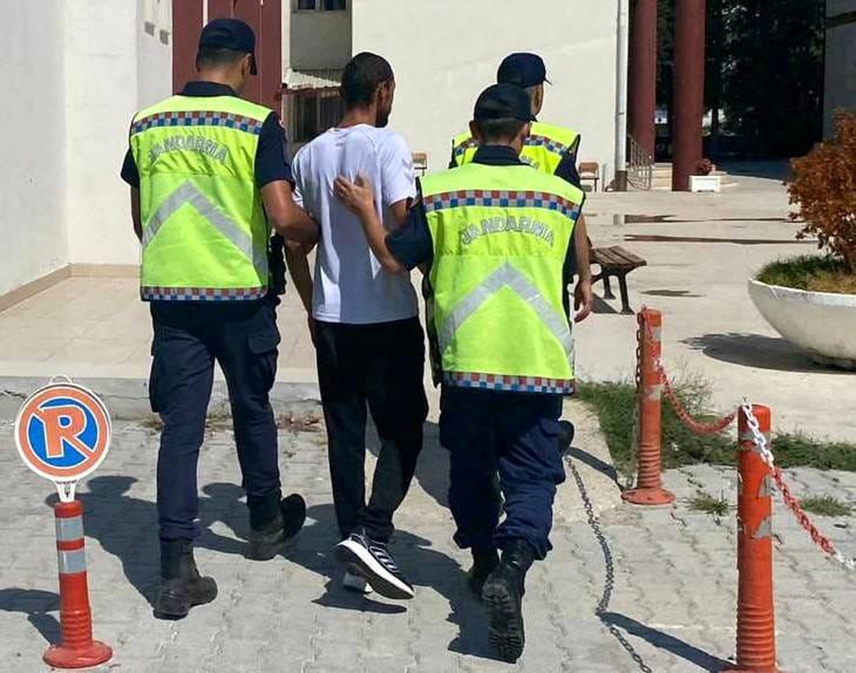 Yalova\'da Uyuşturucu Operasyonu: 181 Kök Hint Keneviri Ele Geçirildi