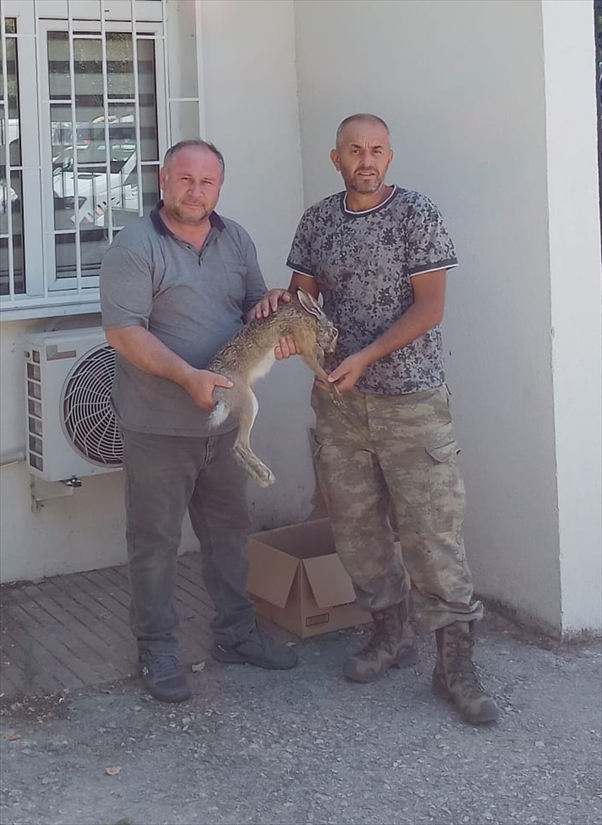 Kırklareli\'nde yaralı tavşan tedavi altına alındı