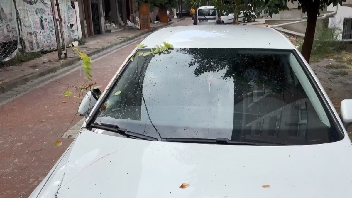 Ağaç, Avcılar\'da Park Halindeki Otomobilin Üzerine Devrildi