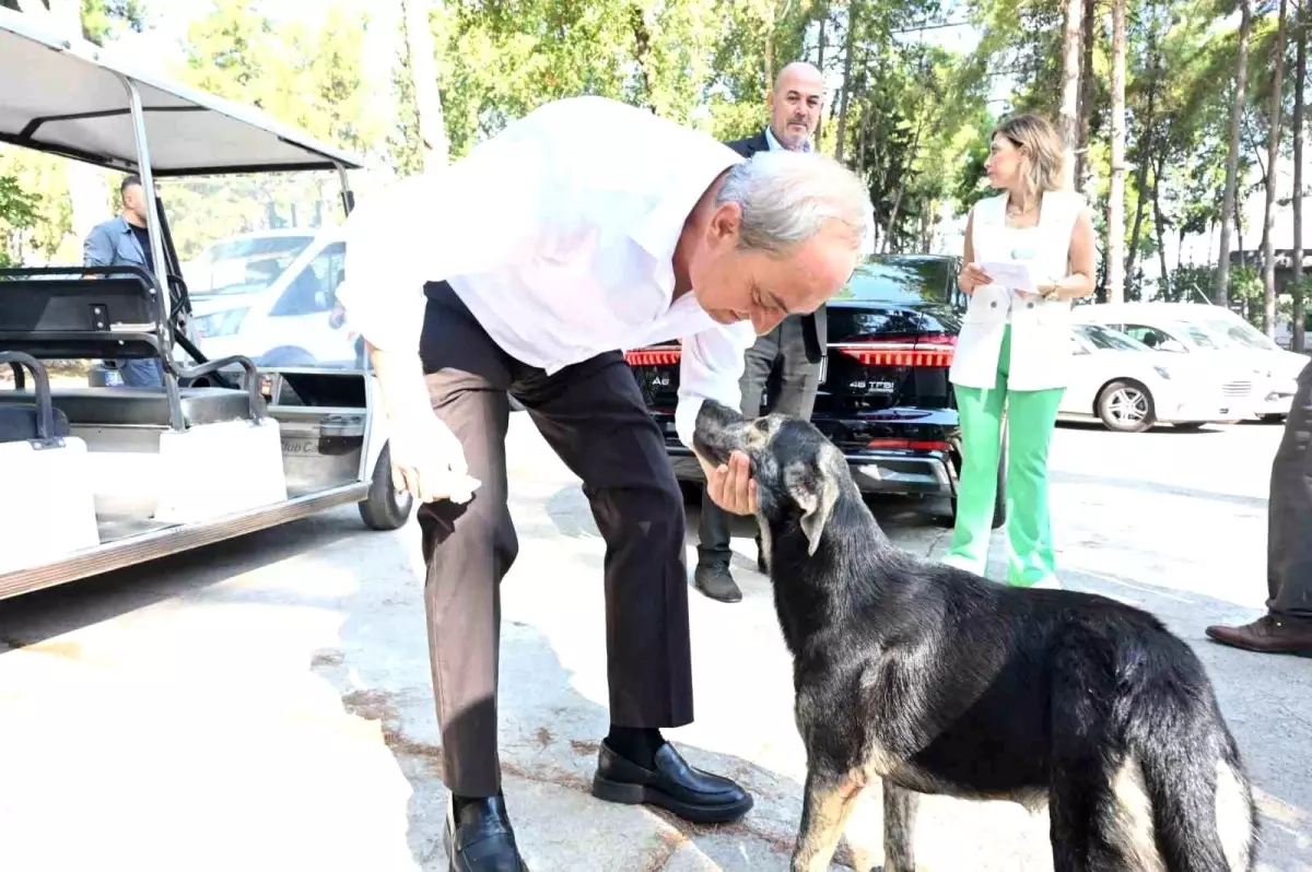 Kepez Belediye Başkanı: Köpeğin yakıldığı iddiaları gerçeği yansıtmıyor