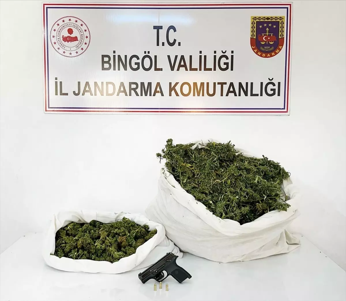 Bingöl\'de 12 Kilo Esrar Ele Geçirildi, 1 Şüpheli Gözaltına Alındı