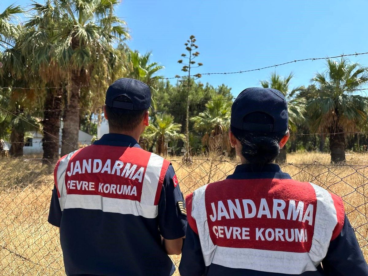 Aydın\'da nadir bulunan Agave bitkisine zarar verenlere yüksek para cezası