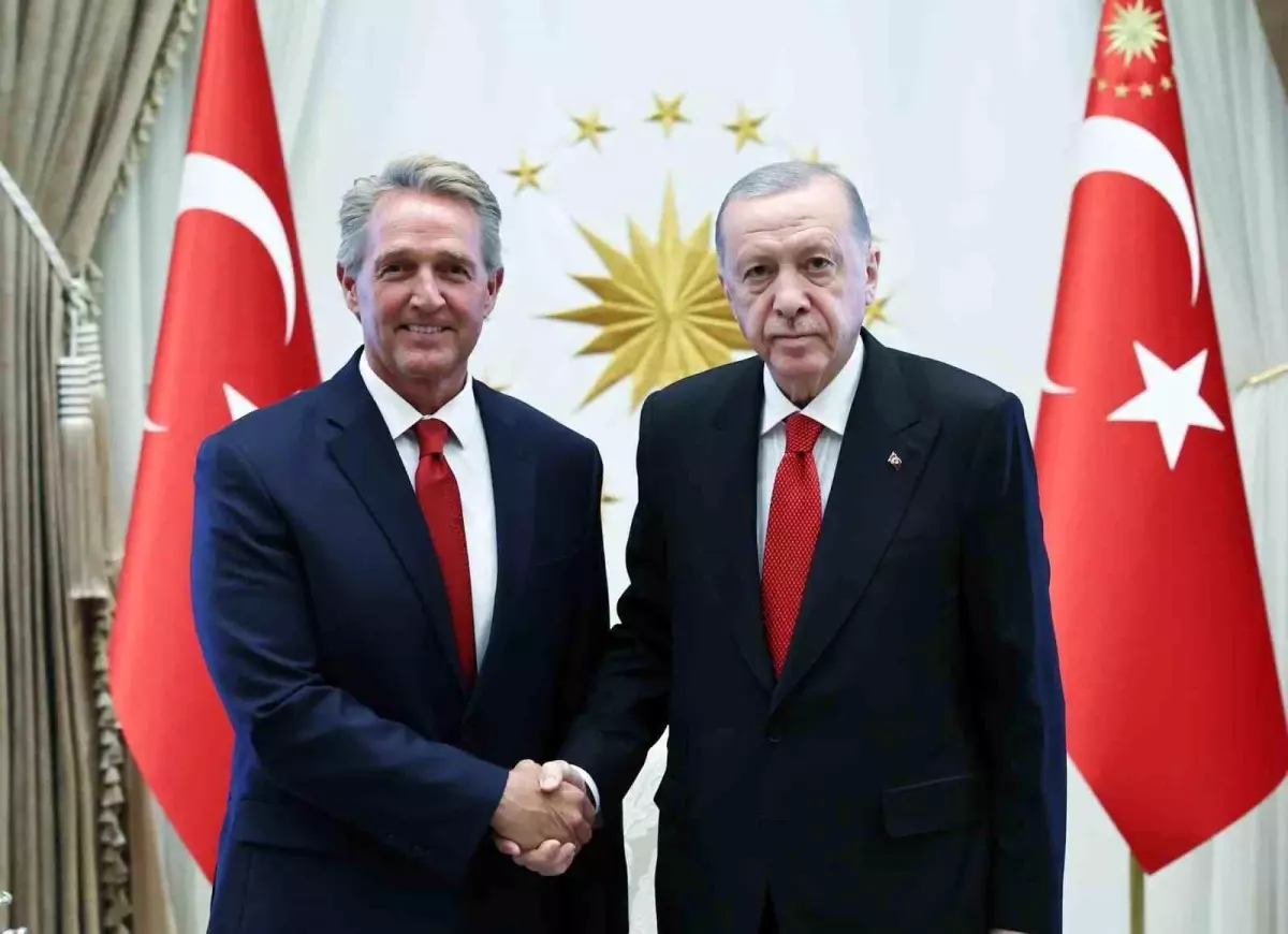 Cumhurbaşkanı Erdoğan, ABD Büyükelçisi Jeff Flake\'i kabul etti