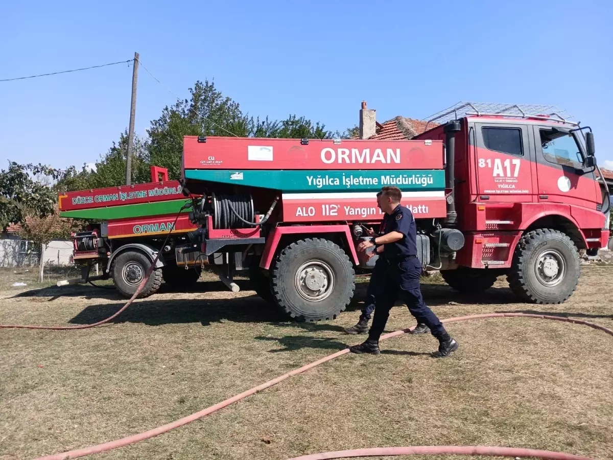 Düzce\'de Tuğrul köyü yakınlarında çıkan orman yangını kontrol altına alındı