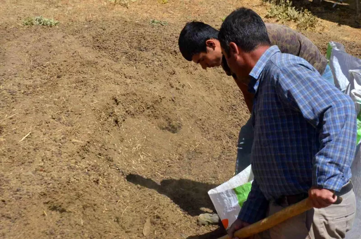 Malatya\'da çiftçiler gübre satışı yaparak ek gelir sağlıyor