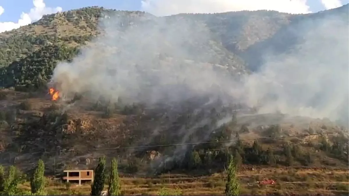 Erzurum İspir\'de Orman Yangını Çıktı