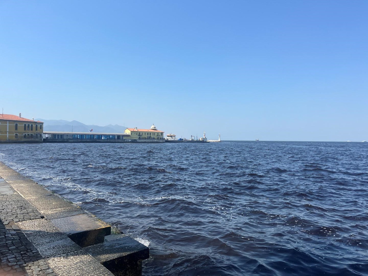 İzmir\'de Balık Ölümleri Nedeniyle Su Ürünleri Av Yasağı Uygulandı
