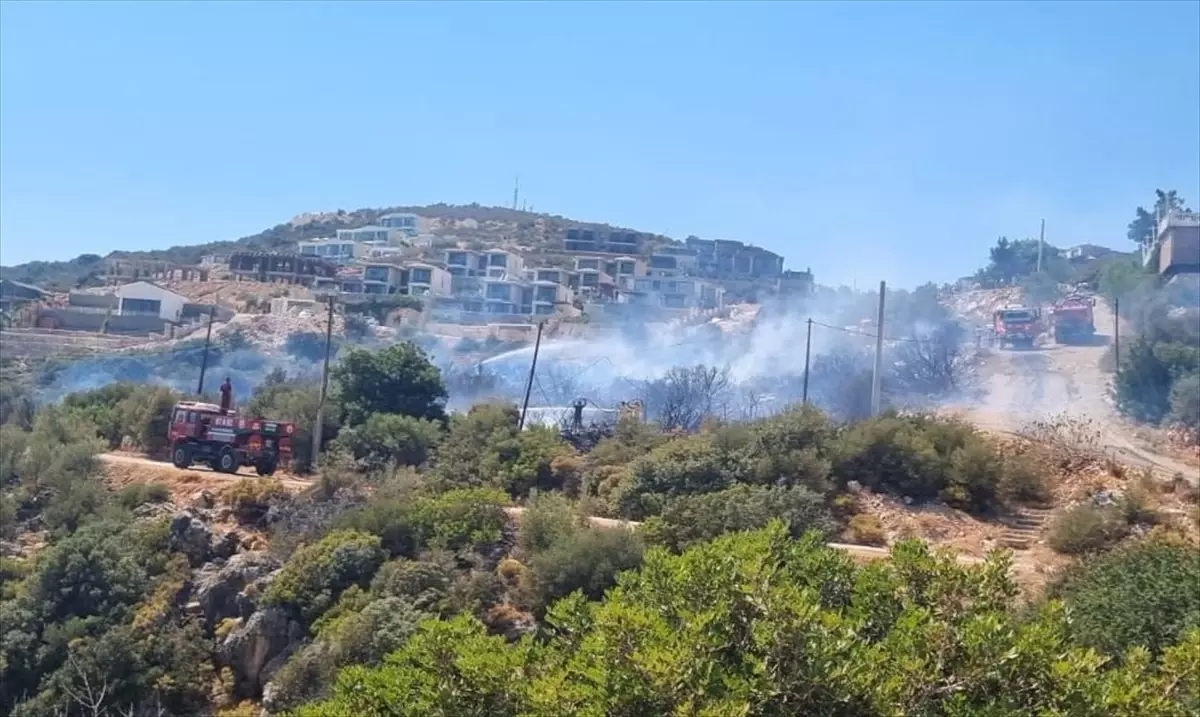 Antalya\'nın Kaş ilçesinde çıkan yangın kontrol altına alındı