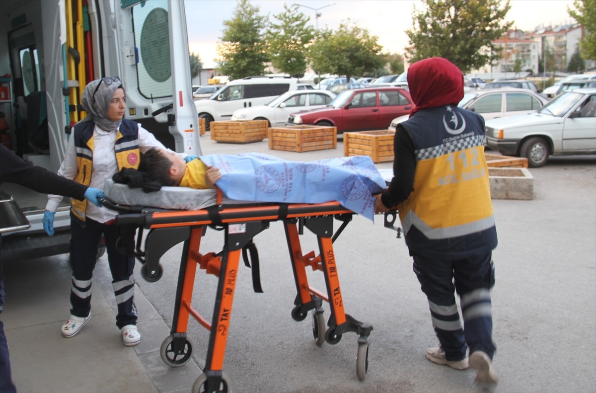 Konya\'da parkta sokak köpeklerinin saldırısına uğrayan çocuk yaralandı
