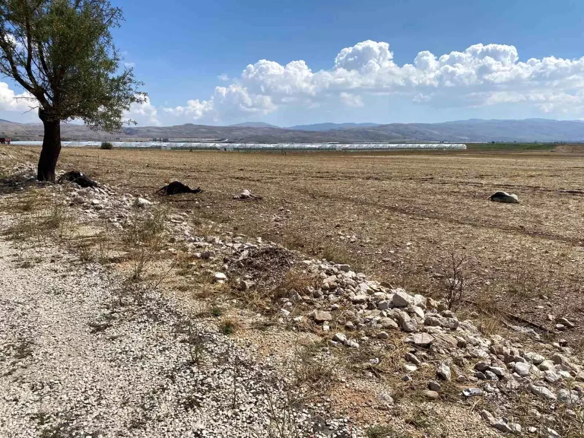 Antalya\'da Şiddetli Yağış Sonucu Evler ve Tarım Arazileri Hasar Gördü