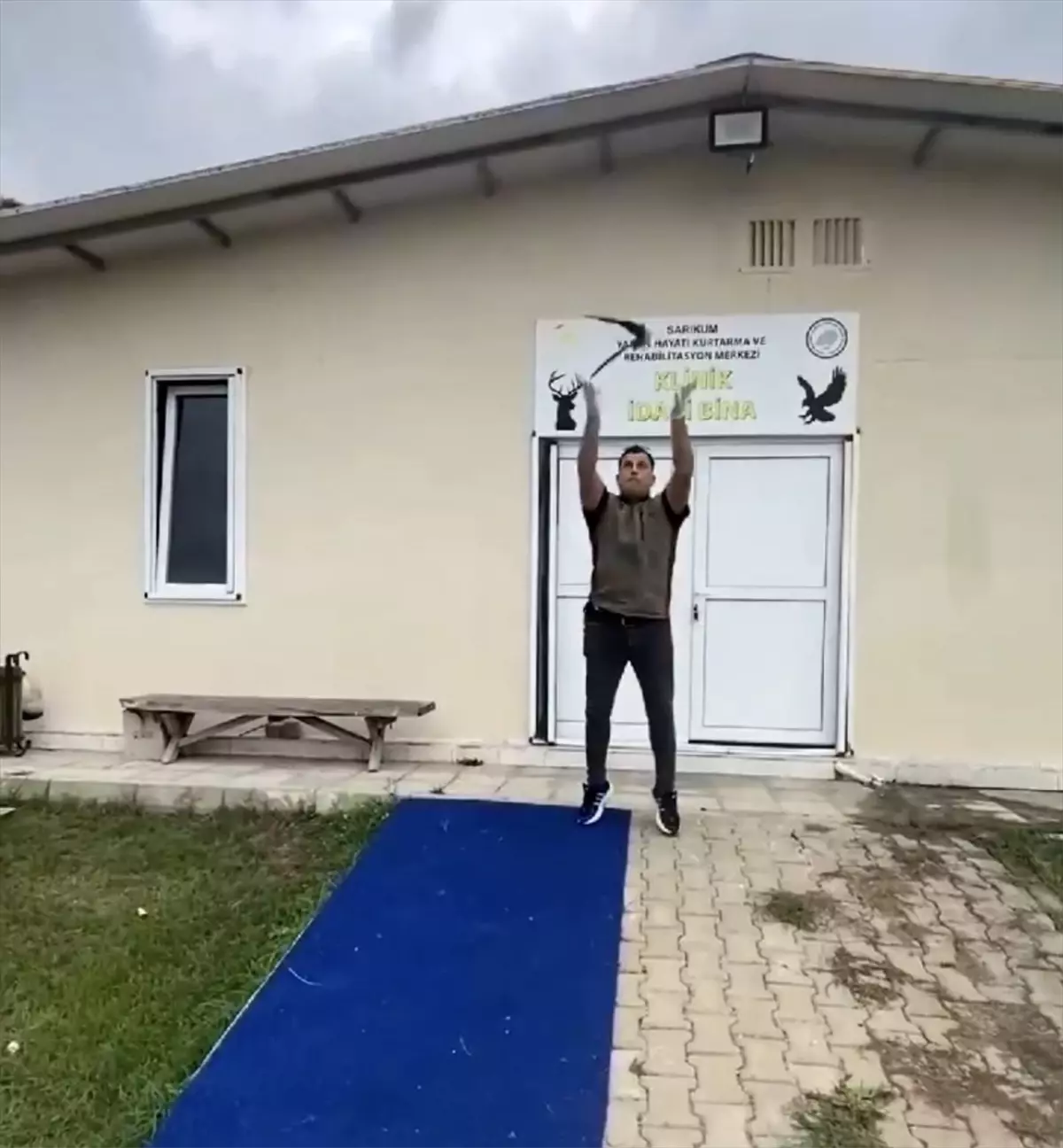 Sinop\'ta Tedavi Edilen Ebabil Kuşu Doğal Yaşam Alanına Bırakıldı